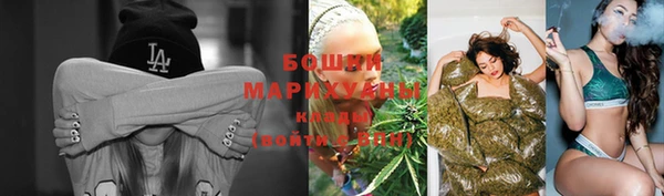 дмт Медногорск