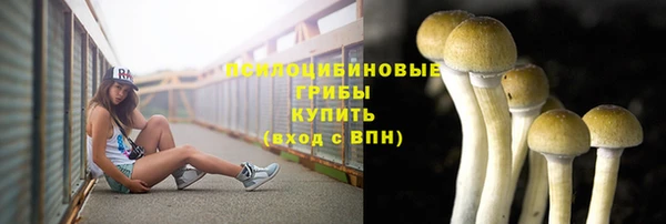 стаф Медвежьегорск