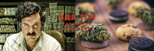 дмт Медногорск