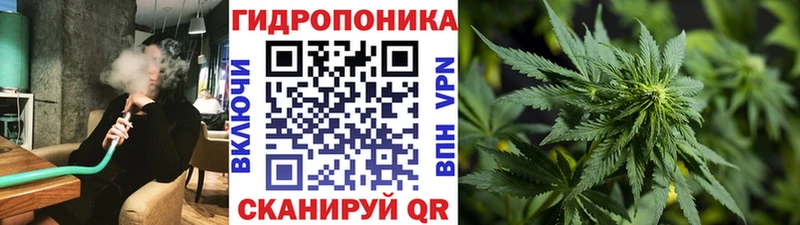 Купить  Топки  Шишки марихуана AK-47 